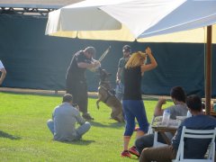 IMG_0006.JPG