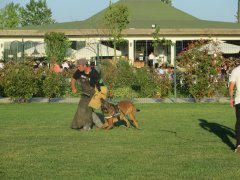 IMG_0122.JPG