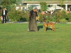 IMG_0125.JPG