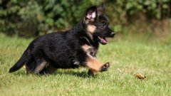 2758645-7480234539-cute-.jpg
